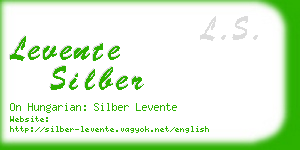 levente silber business card